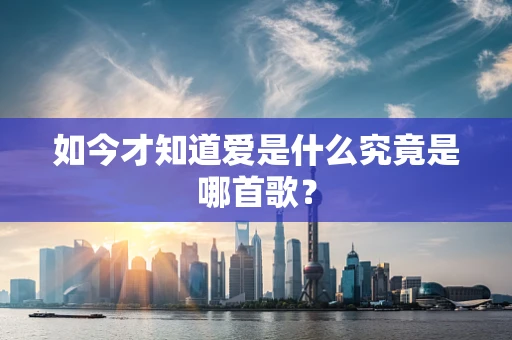 如今才知道爱是什么究竟是哪首歌？