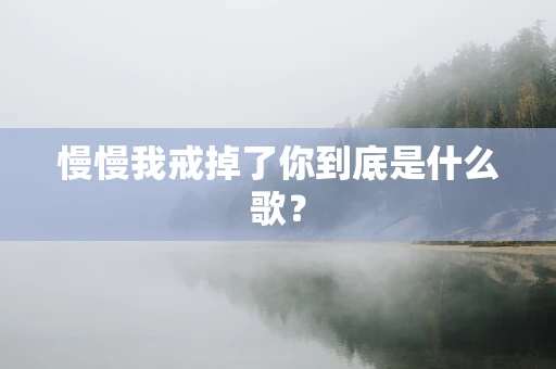 慢慢我戒掉了你到底是什么歌？
