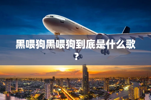 黑喂狗黑喂狗到底是什么歌？