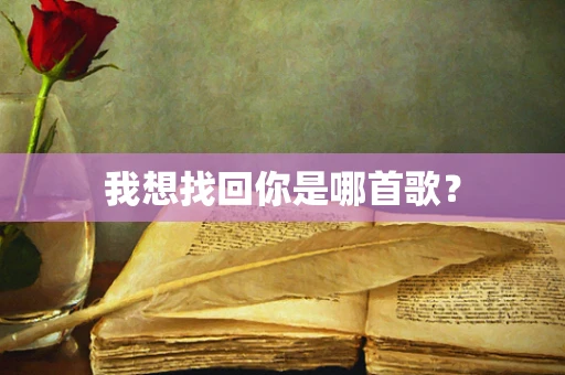 我想找回你是哪首歌？