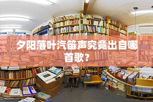 夕阳落叶汽笛声究竟出自哪首歌？