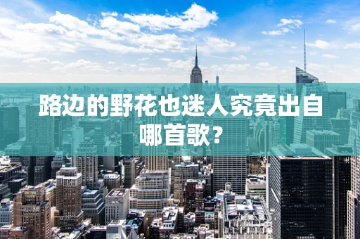 路边的野花也迷人究竟出自哪首歌？
