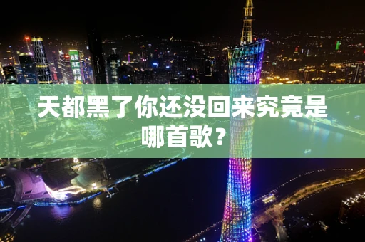 天都黑了你还没回来究竟是哪首歌？
