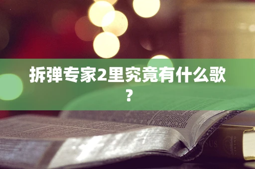拆弹专家2里究竟有什么歌？