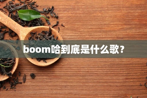 boom哈到底是什么歌？