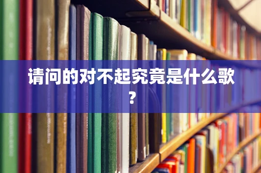 请问的对不起究竟是什么歌？