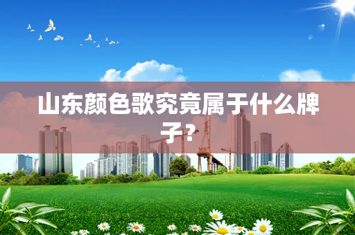 山东颜色歌究竟属于什么牌子？