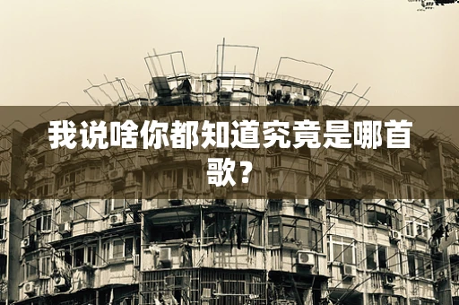 我说啥你都知道究竟是哪首歌？