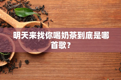 明天来找你喝奶茶到底是哪首歌？