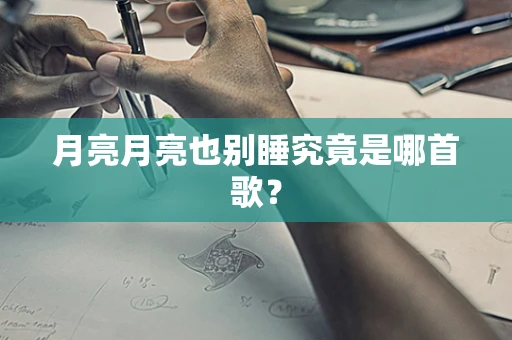 月亮月亮也别睡究竟是哪首歌？