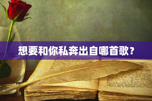想要和你私奔出自哪首歌？
