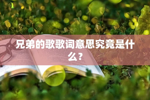 兄弟的歌歌词意思究竟是什么？