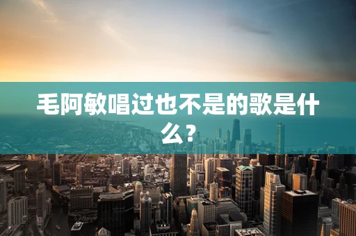 毛阿敏唱过也不是的歌是什么？