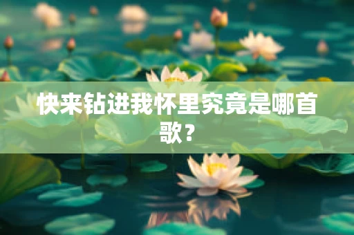 快来钻进我怀里究竟是哪首歌？