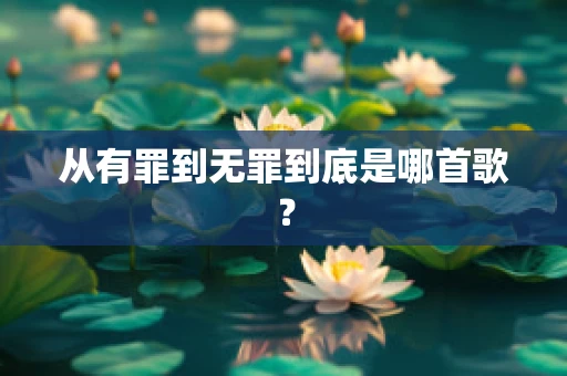 从有罪到无罪到底是哪首歌？