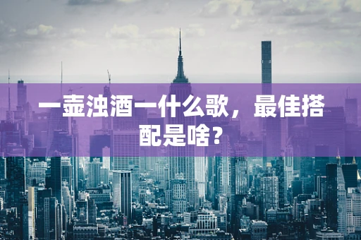 一壶浊酒一什么歌，最佳搭配是啥？