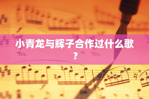 小青龙与辉子合作过什么歌？