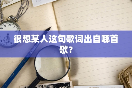很想某人这句歌词出自哪首歌？