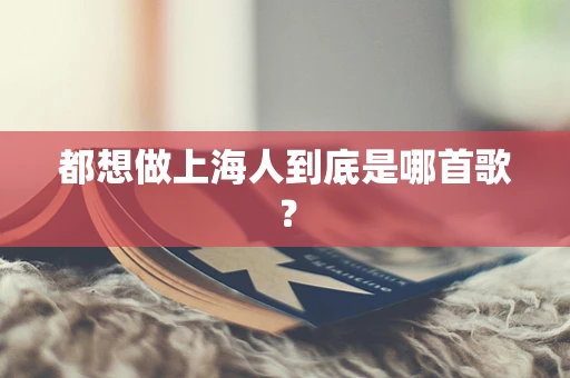 都想做上海人到底是哪首歌？