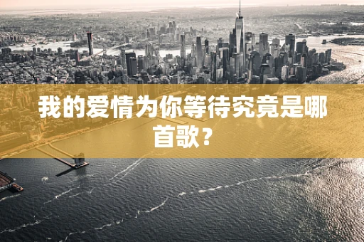 我的爱情为你等待究竟是哪首歌？