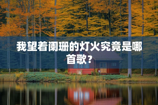 我望着阑珊的灯火究竟是哪首歌？