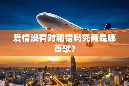 爱情没有对和错吗究竟是哪首歌？