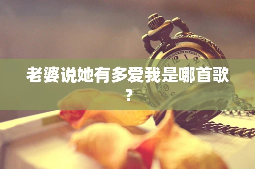 老婆说她有多爱我是哪首歌？