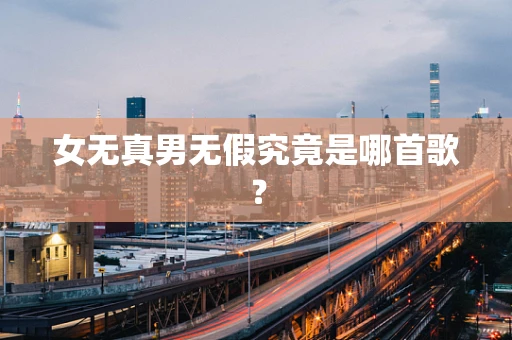 女无真男无假究竟是哪首歌？