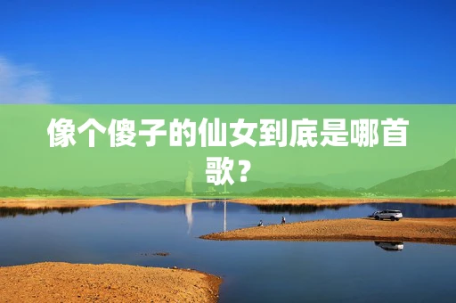 像个傻子的仙女到底是哪首歌？