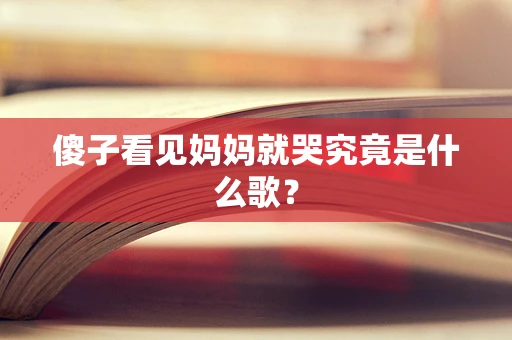 傻子看见妈妈就哭究竟是什么歌？