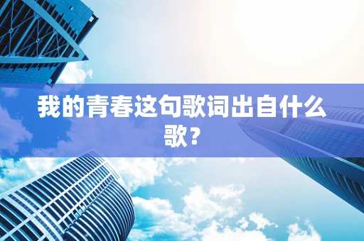 我的青春这句歌词出自什么歌？