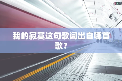 我的寂寞这句歌词出自哪首歌？