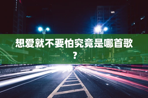 想爱就不要怕究竟是哪首歌？