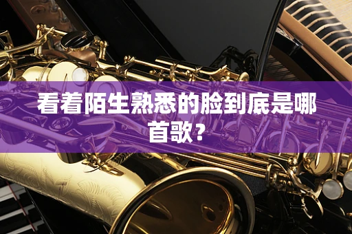看着陌生熟悉的脸到底是哪首歌？