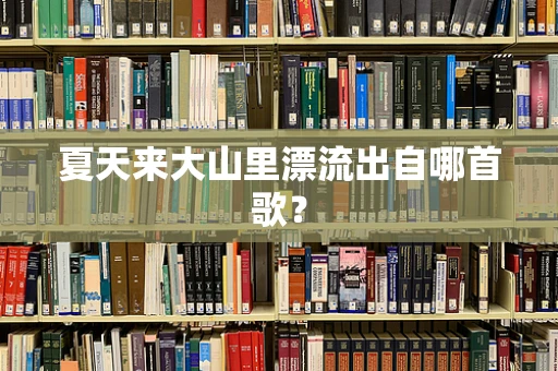夏天来大山里漂流出自哪首歌？