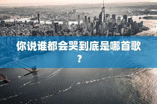 你说谁都会哭到底是哪首歌？