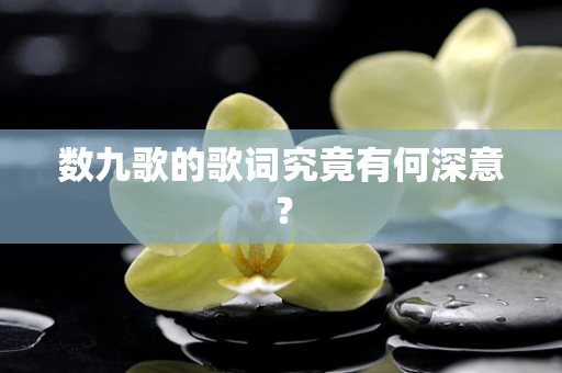 数九歌的歌词究竟有何深意？