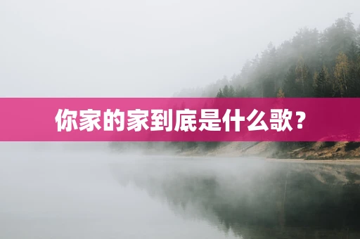 你家的家到底是什么歌？