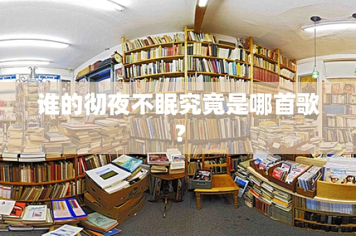 谁的彻夜不眠究竟是哪首歌？