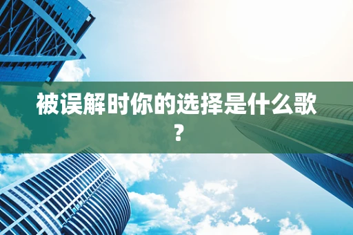 被误解时你的选择是什么歌？