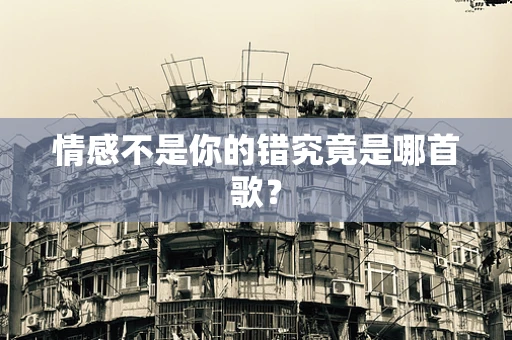 情感不是你的错究竟是哪首歌？