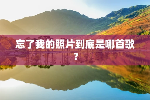 忘了我的照片到底是哪首歌？
