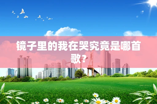 镜子里的我在哭究竟是哪首歌？