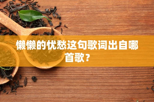 懒懒的忧愁这句歌词出自哪首歌？
