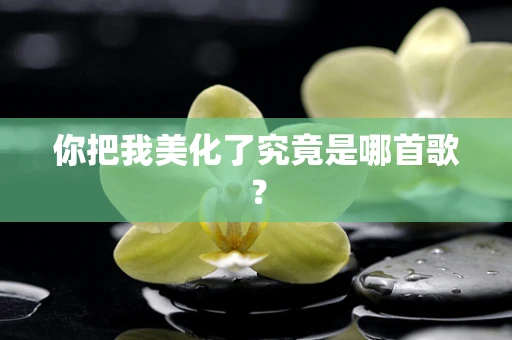 你把我美化了究竟是哪首歌？