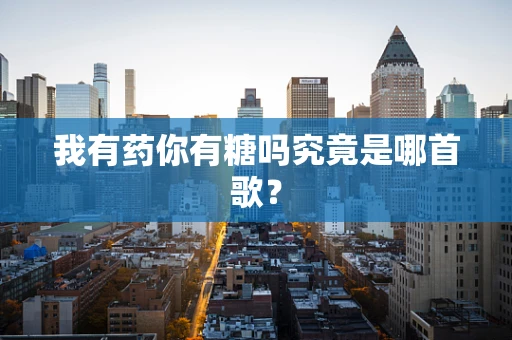 我有药你有糖吗究竟是哪首歌？