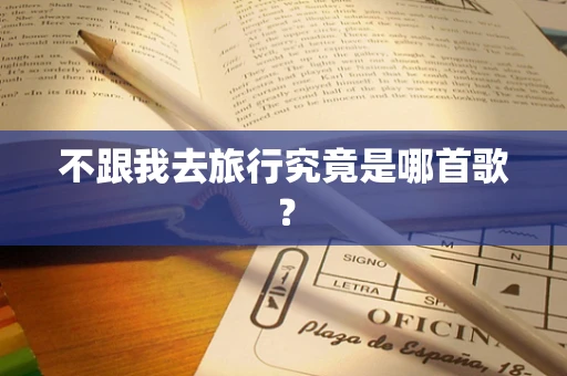 不跟我去旅行究竟是哪首歌？