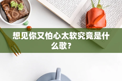 想见你又怕心太软究竟是什么歌？