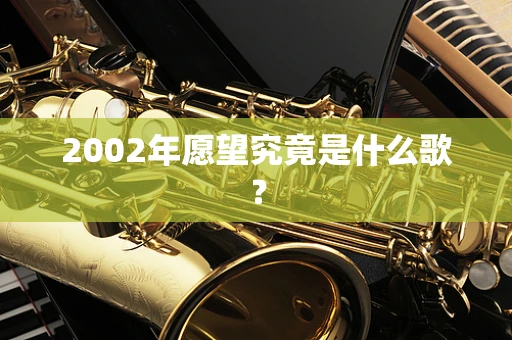 2002年愿望究竟是什么歌？