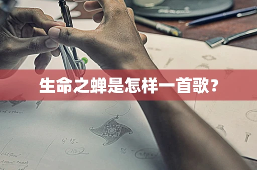 生命之蝉是怎样一首歌？